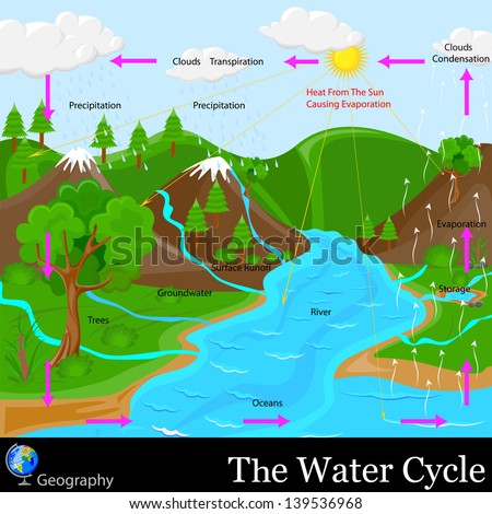 Easy To Edit Vector Illustration Of Water Cycle - 139536968 : Shutterstock