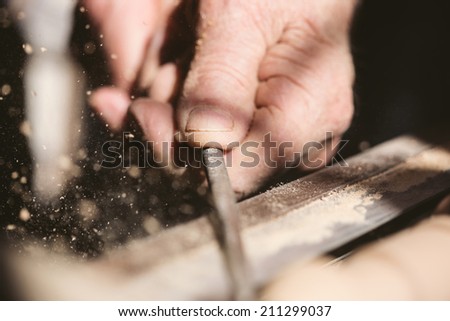 Similar – Image, Stock Photo Close-up of industrious forest ants on a piece of wood in the wild