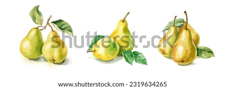 Pears, watercolor painting style illustration. Vector set.