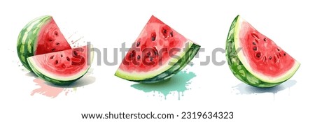 Watermelon, watercolor painting style illustration. Vector set.