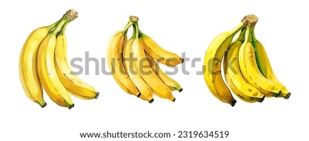 Banana, watercolor painting style illustration. Vector set.