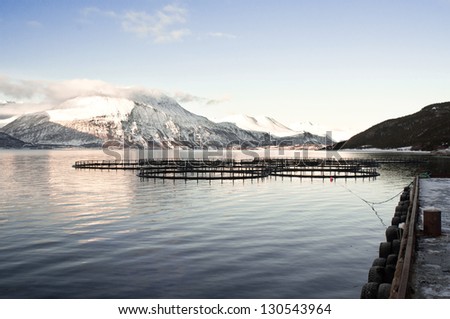 Salmon farms. Fjords in Norway.
