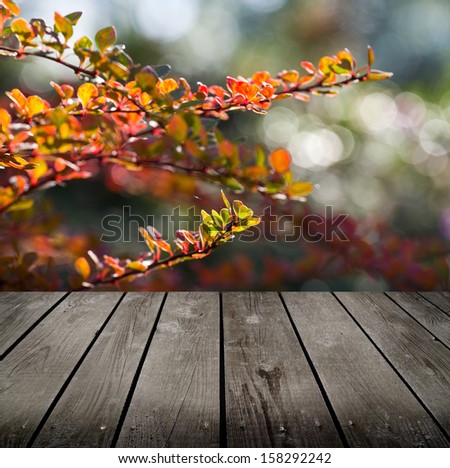 autumn theme and empty wooden deck table. Ready for product montage display
