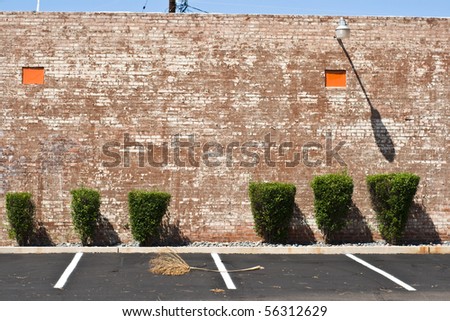 Brick wall, trimmed bushes, parking spaces and palm frond - an unusual composition.