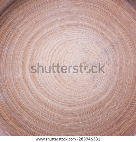 wood cut circles texture background