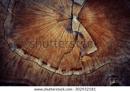 wood cut texture ring background