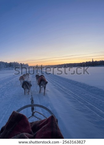 Similar – Image, Stock Photo Husky sledding over a frozen lake at sunset