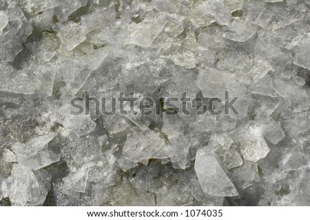 Thawing pieces of ice