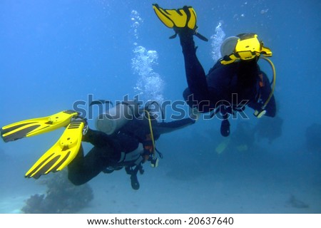 Two divers swim hand by hand in the Red Sea, Egypt