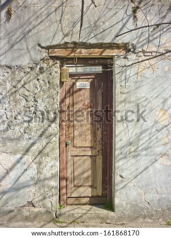 Abandoned wooden house door with a concrete wall and branches at the top.