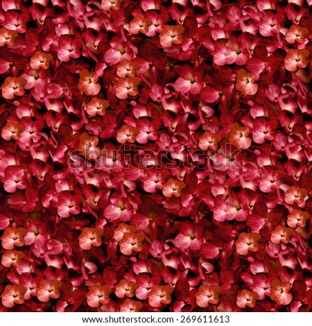 Elegant and fancy digital manipulation technique photo flowers motif pattern collage in saturated red and orange colors