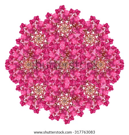 Digital collage and manipulation technique pink floral decorative ornament isolated against white background