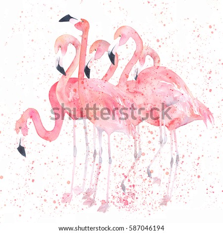 Watercolor flamingos with splash. Painting image