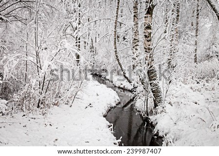 Wintry landscape with a creek in the forest in Finland. Snowy trees in the woods surrounding the stream.