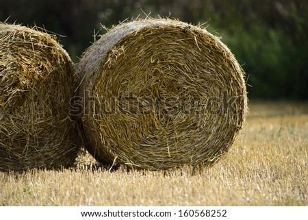 pack of straw