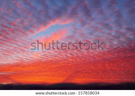 Beautiful dramatic cloudscape with bright pink and blue cirrus clouds in light of the of the rising sun