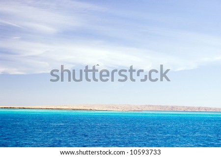 Coast of the red sea. blue sea and sky