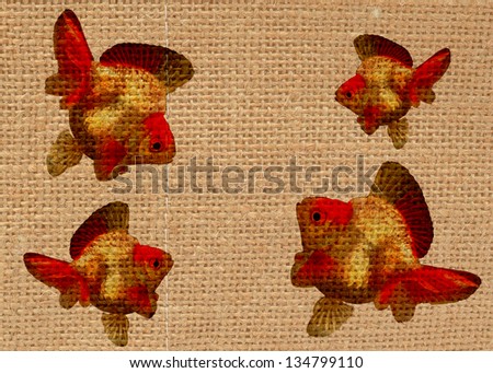 Gold fish abstract wall for background