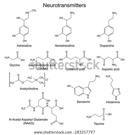 Structural Chemical Formulas Of Basic Neurotransmitters, 2d Vector, Eps ...