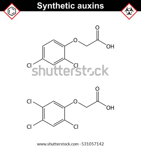 2,4-D and 2,4,5-T chemical structures, 2,4- dichlorophenoxyacetic and 2,4,5- trichlorophenoxyacetic acid, widely used auxin-like synthetic herbicides, 2d chemical vector illustration, eps 8