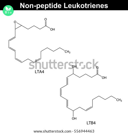Shutterstock - PuzzlePix Shutterstock - PuzzlePix