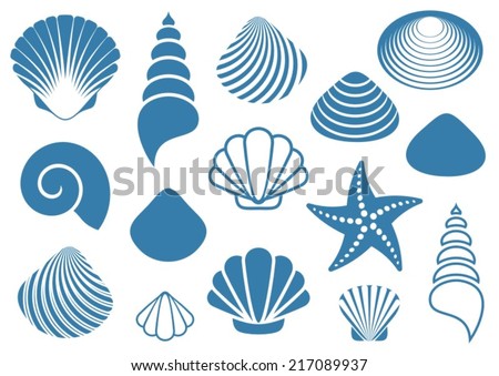 Set of various blue sea shells and starfish