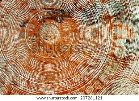 Background or texture: Close up of old rusted circle metallic  plate  with a bright pattern of concentric circles.