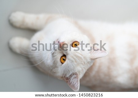 Shutterstock Puzzlepix