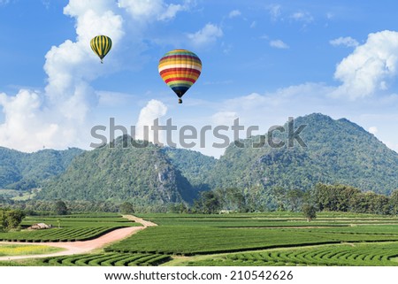 Hot air balloon over the mountain and tea plantation