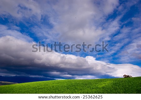 green grass and stormy sky (horizontal