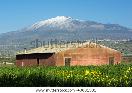 blurred yellows flower and abandoned red barn under the volcano Etna, Italy