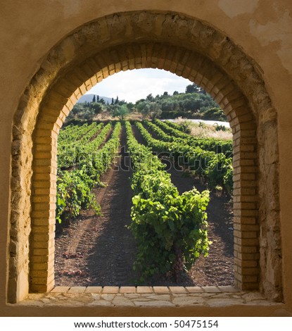 view through a window arched stone and brick along the rows of a vineyard at the evening
