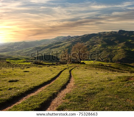 country road crosses the green valley in the sunset