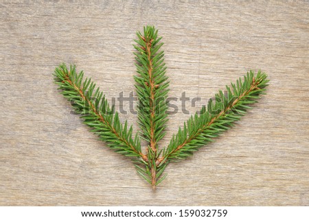 fir twig on wooden table, horizontal photo