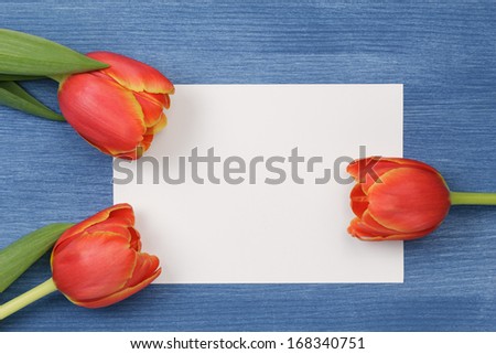 tulip with blank paper note with space for text