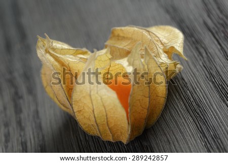 Physalis fruit on oak wooden table, closeup photo