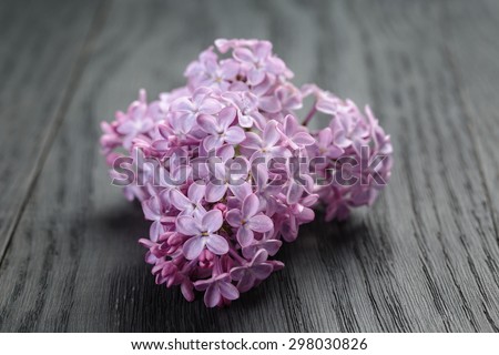 purple lilac flowers on old oak table, summer rustic flowers