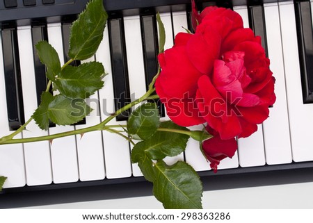 Background of synthesizer keyboard with rose, close-up.