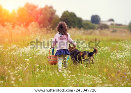 Little girl walking with dog on the meadow back to camera and keeping the dog on leash