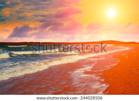 Beautiful desert beach at sunset