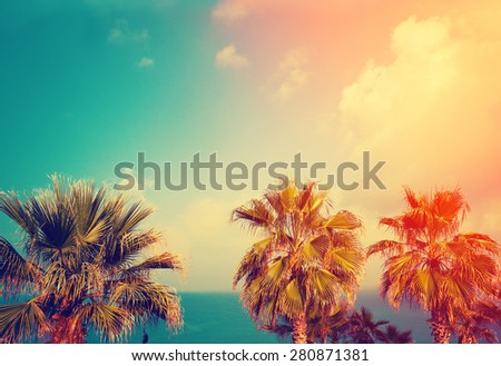 Retro background with palm trees against sea and sunset sky