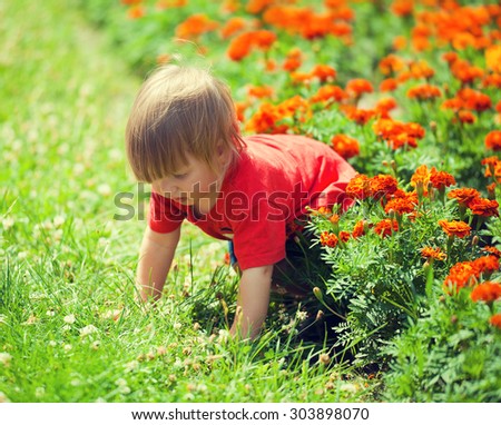 Little boy crawls on all fours in the lawn