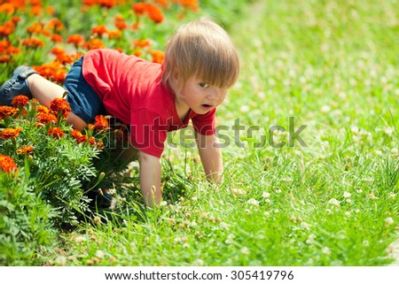 Little boy crawls on all fours in the lawn