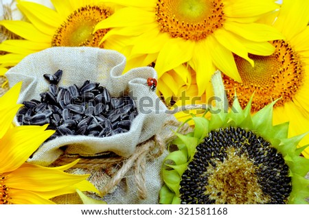Sunflowers and sunflower seeds in bag