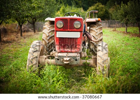 Red tractor in grass in an orchard