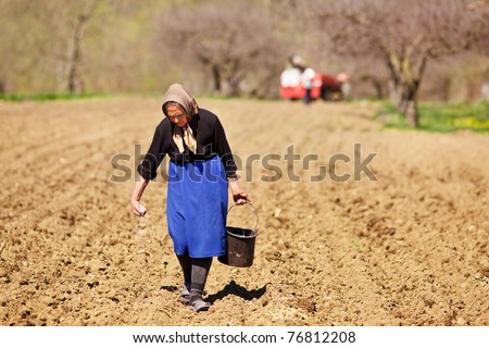 Old farmer woman sowing seeds mixed with fertilizer from a bucket