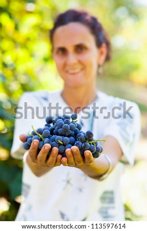 Young woman with hands full of bunches of blue grapes