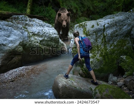 Similar – Image, Stock Photo A hiker crosses a suspension bridge which leads him into a dark forest.