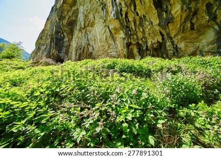 Mountain landscape with stone wall on springtime