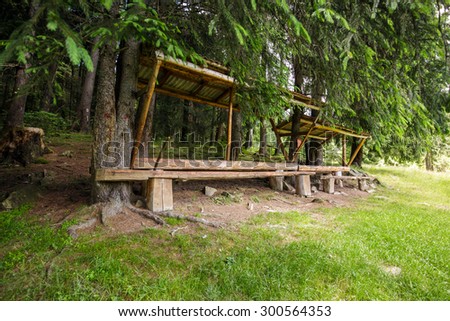 A resting place with bench and roof, near an old fir forest